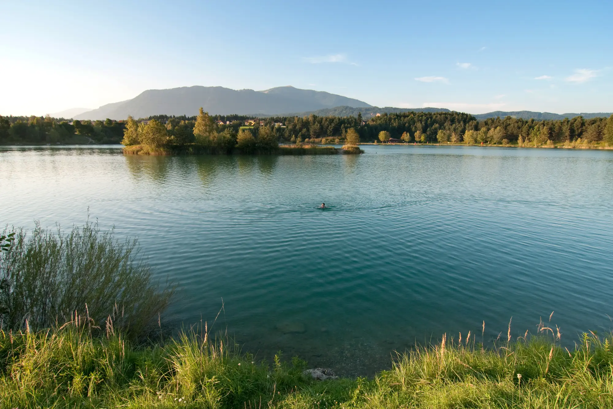 Nuotare nel lago d'argento
