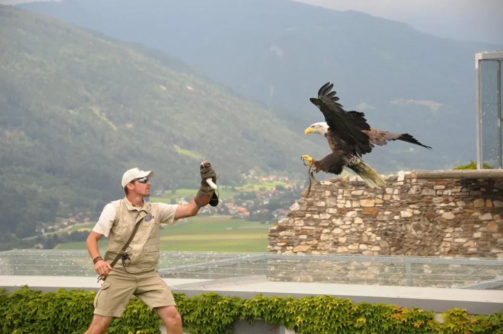 @ Franz GERDL Region Villach Tourismus Adlershow Burg Landskron