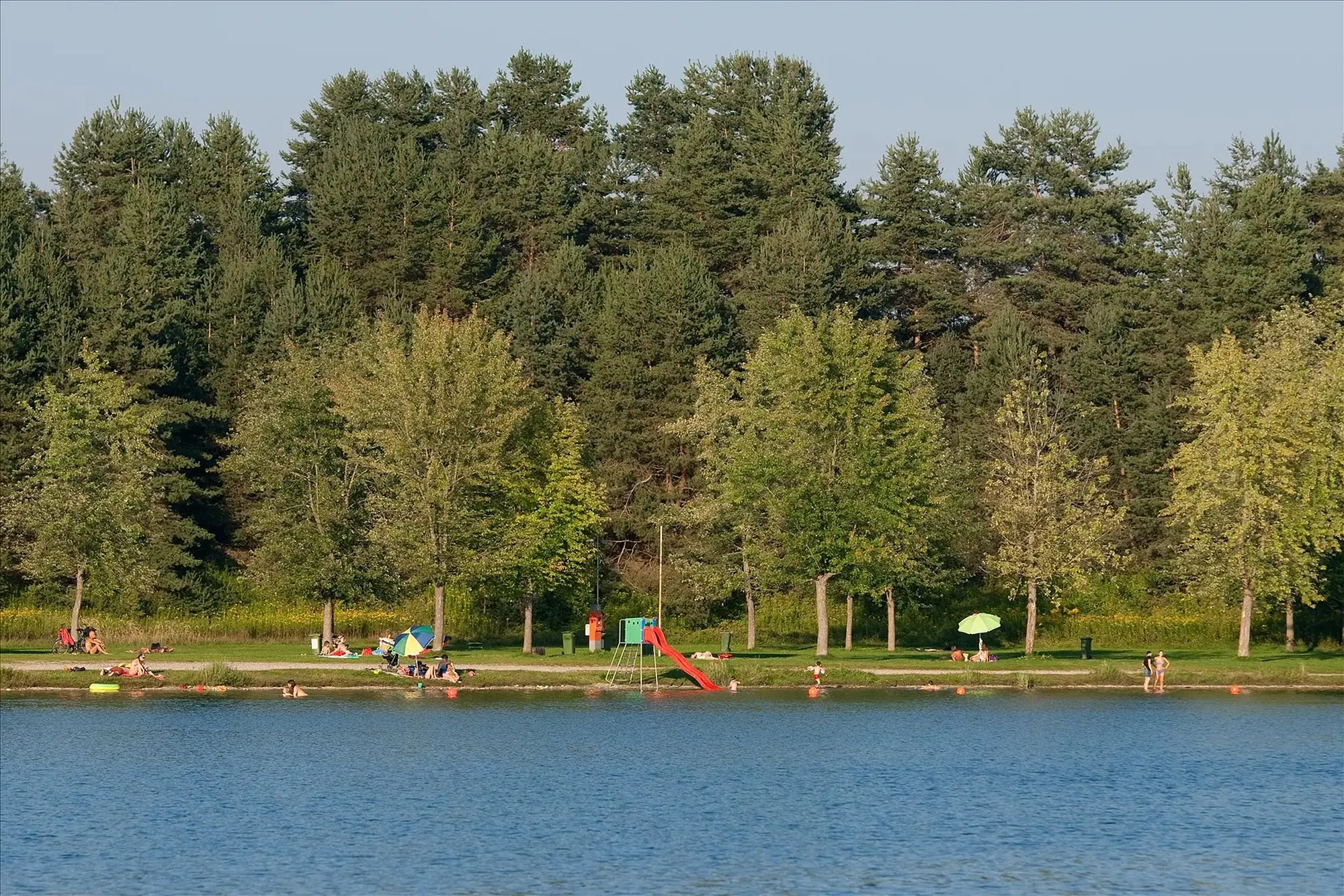 Ufer am Silbersee
